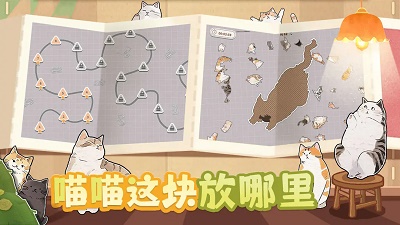 挤在一起的猫猫无限繁殖版