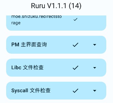 ruru检测器软件